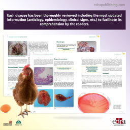 Main Diseases in Poultry Farming. Bacterial Infections - cover book - Veterinary book - Hafez Mohamed Hafez - Rüdiger Hauck