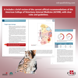 Blood Pressure in Cats and Dogs. A Clinical Manual