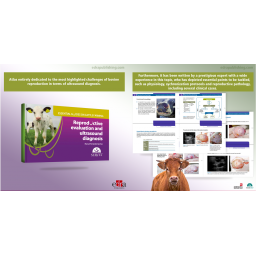 Reproductive Evaluation and Ultrasound Diagnosis. Essential Guides on Cattle Farming