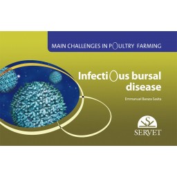 Infectious Bursal Disease. Main challenges in poultry farming - Veterinary book - cover book