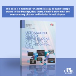 Ultrasound-guided nerve blocks of the trunk and abdominal wall - Medicine book - cover book