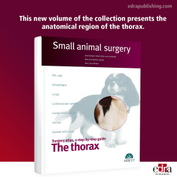 The thorax, Small animal surgery - book cover - veterinary book