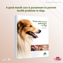 Visual Atlas of Oral Pathologies in Dogs - Book details - veterinary book