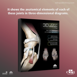 3D Joint Anatomy in Dogs. Main joint pathologies and surgical approaches - book cover - veterinary book