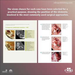 3D Joint Anatomy in Dogs. Main joint pathologies and surgical approaches - book extract 1 - veterinary book