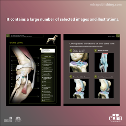 3D Joint Anatomy in Dogs. Main joint pathologies and surgical approaches - book extract 2 - veterinary book