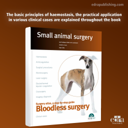 Bloodless surgery. Small animal surgery - Book COver - Veterinary Book