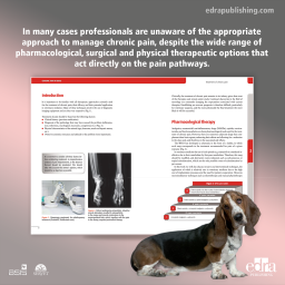 Chronic Pain in Dogs - Book Extract - Veterinary Book