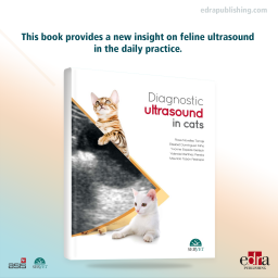 Diagnostic Ultrasound in Cats - Book Details - Veterinary Book