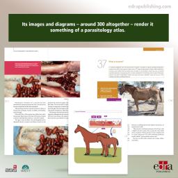50 Q&A about Parasitic Infections of Horses - book extract - veterinary book