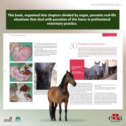 50 Q&A about Parasitic Infections of Horses - book extract - veterinary book