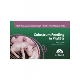Colostrum feeding in piglets. Essential guides on swine health and production