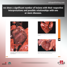 A Guide to necropsy diagnosis in swine pathology - book extract 2 - veterinary book