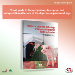 Atlas of anatomical pathology
of the gastrointestinal system of
swine - book cover - veterinary book