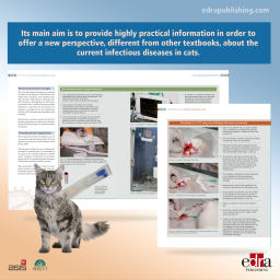 Infectious Diseases in Cats. Practical Guide - book extract 2 - veterinary book