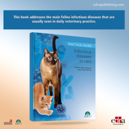 Infectious Diseases in Cats. Practical Guide - book cover - veterinary book - Juanjo Vega Guerrero - Valentina Aybar Rodríguez