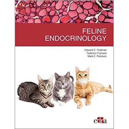 Feline endocrinology - Feldman Peterson Fracassi - Book Cover - Veterinary Book