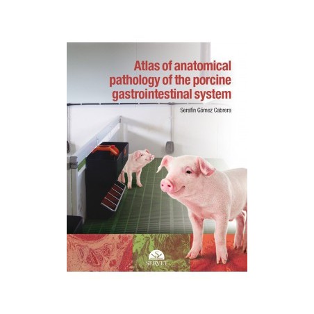 Atlas of anatomical pathology
of the gastrointestinal system of
swine - book cover - veterinary book