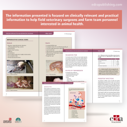 PRRSv guide. Porcine reproductive and respiratory syndrome - book extract - veterinary book