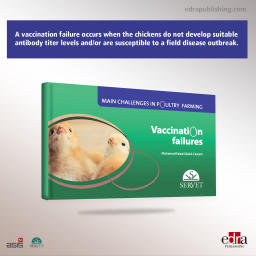 Vaccination failures. Main challenges in poultry farming