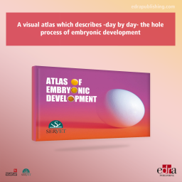 Atlas of Embryonic Development