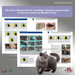 Feline Ophthalmology. The...