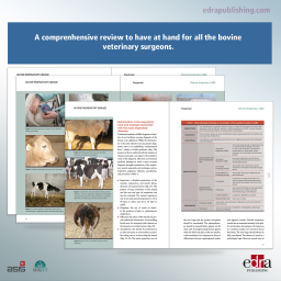 Bovine respiratory disease